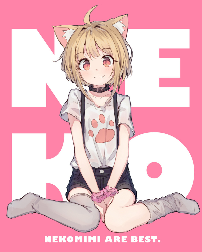 :3 ahoge animal_ears between_legs blonde_hair brown_hair cat_ears collar english eyebrows_visible_through_hair eyes_visible_through_hair fang fang_out full_body grey_legwear hand_between_legs highres looking_at_viewer loose_thighhigh original paw_print pink_scrunchie scrunchie shirt shone short_hair short_sleeves shorts simple_background sitting smile solo suspender_shorts suspenders thighhighs wariza white_shirt wrist_scrunchie