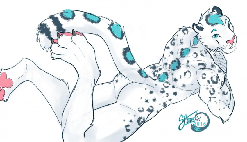 2016 4_toes anthro biped claws digitigrade feline fur hair leopard looking_at_viewer looking_back lying male mammal muscular nude on_front pawpads shynjy signature simple_background snow_leopard toe_claws toes victory_(texdot) white_background