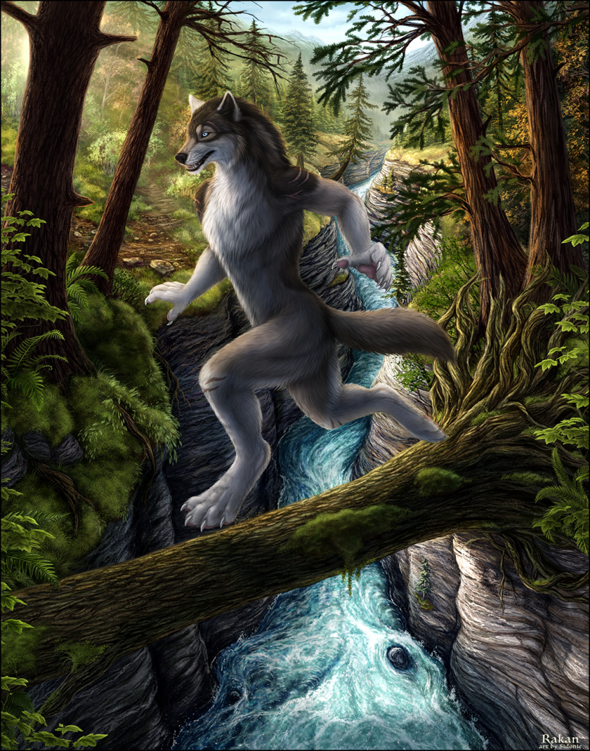 2018 anthro blue_eyes canine casual_nudity digital_media_(artwork) forest male mammal rakan river scar sidonie solo tree water were werewolf wolf