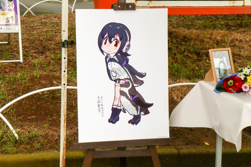 armband bird black_hair blush boots bouquet breasts commentary_request dated easel flower full_body grape-kun grass headphones highres hood humboldt_penguin humboldt_penguin_(kemono_friends) jacket kemono_friends medium_hair multicolored_hair outdoors partially_translated penguin photo photo_(object) pink_hair purple_armband red_eyes signature simple_background smile tail translation_request white_background yoshizaki_mine zipper zipper_pull_tab