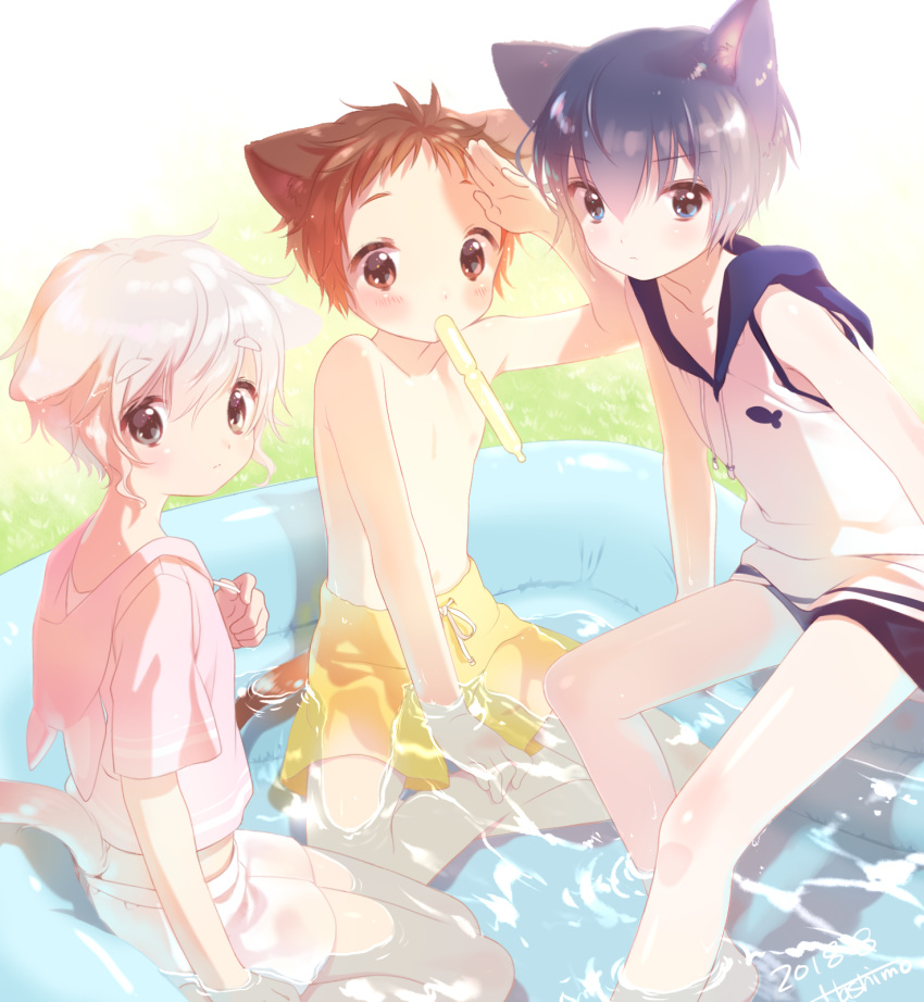 animal_ears blue_eyes blue_hair brown_eyes brown_hair cat_ears cat_tail catboy commentary_request hashimo_kikuri highres hood hoodie hoodie_vest looking_at_viewer male_focus male_swimwear multiple_boys original swim_trunks swimwear tail vest wading_pool white_hair