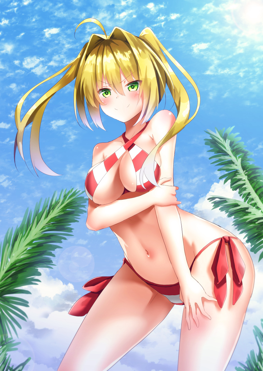 bikini fate/grand_order saber_extra swimsuits tagme