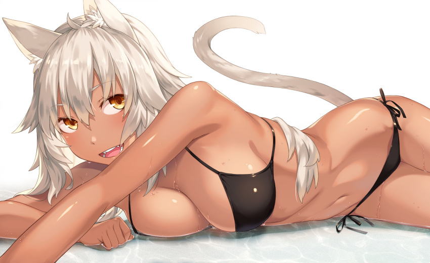 animal_ears bikini kimura_(ykimu) swimsuits tagme tail wet