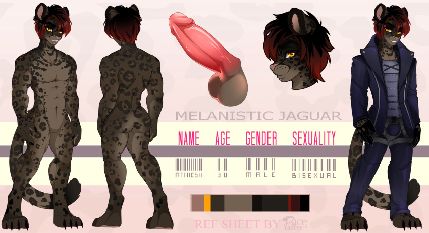 anthro athiesh clothing feline jacket jaguar male mammal model_sheet pacevanrign penis