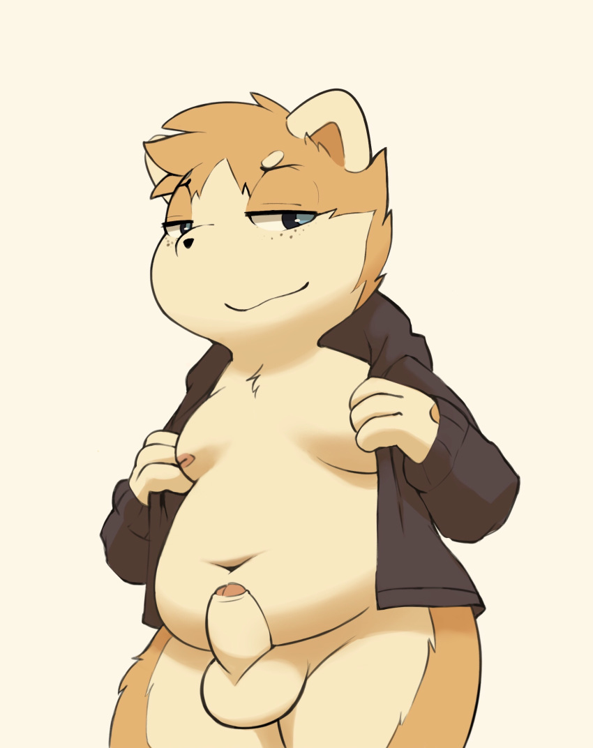 anthro balls bottomless brown_fur canine child clothed clothing cub dog erection foreskin fur humanoid_penis jacket male mammal moobs navel obese overweight penis shiba_inu shibubaman slightly_chubby solo uncut undressing young