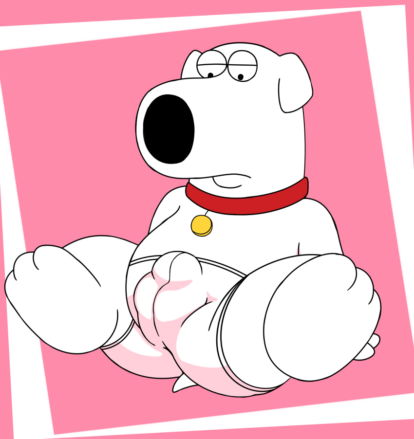 brian_griffin briefs bulge butt butt_pose canine clothing collar dog family_guy looking_down male mammal sitting solo underwear