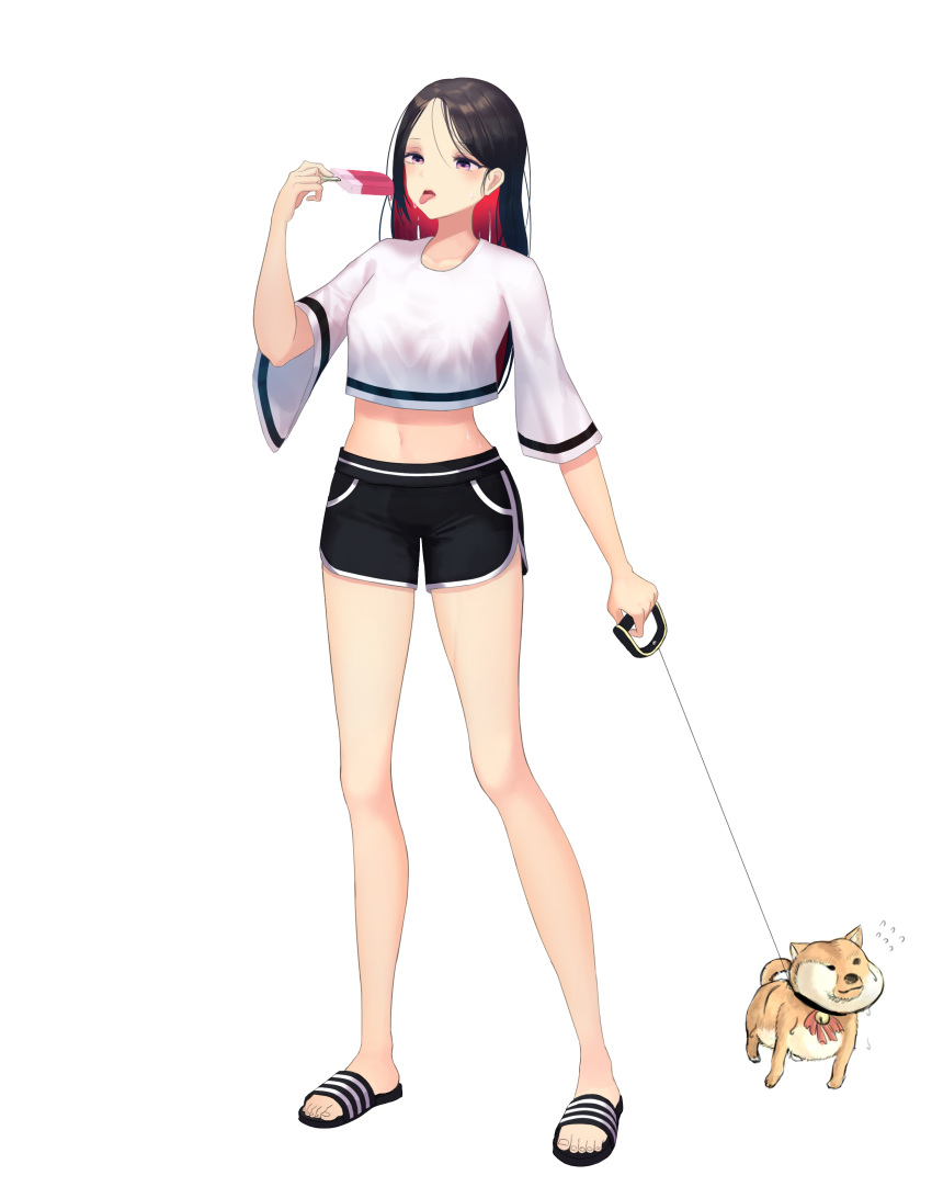 :3 absurdres bangs black_hair black_shorts breasts commentary_request crop_top dog eyebrows_visible_through_hair flying_sweatdrops food full_body hair_between_eyes highres holding ju-ok leash long_hair looking_at_viewer medium_breasts midriff navel open_mouth original popsicle purple_eyes red_hair sandals shiba_inu shirt shorts simple_background sketch_eyebrows solo standing summer sweat toes tongue tongue_out white_background white_shirt wide_sleeves