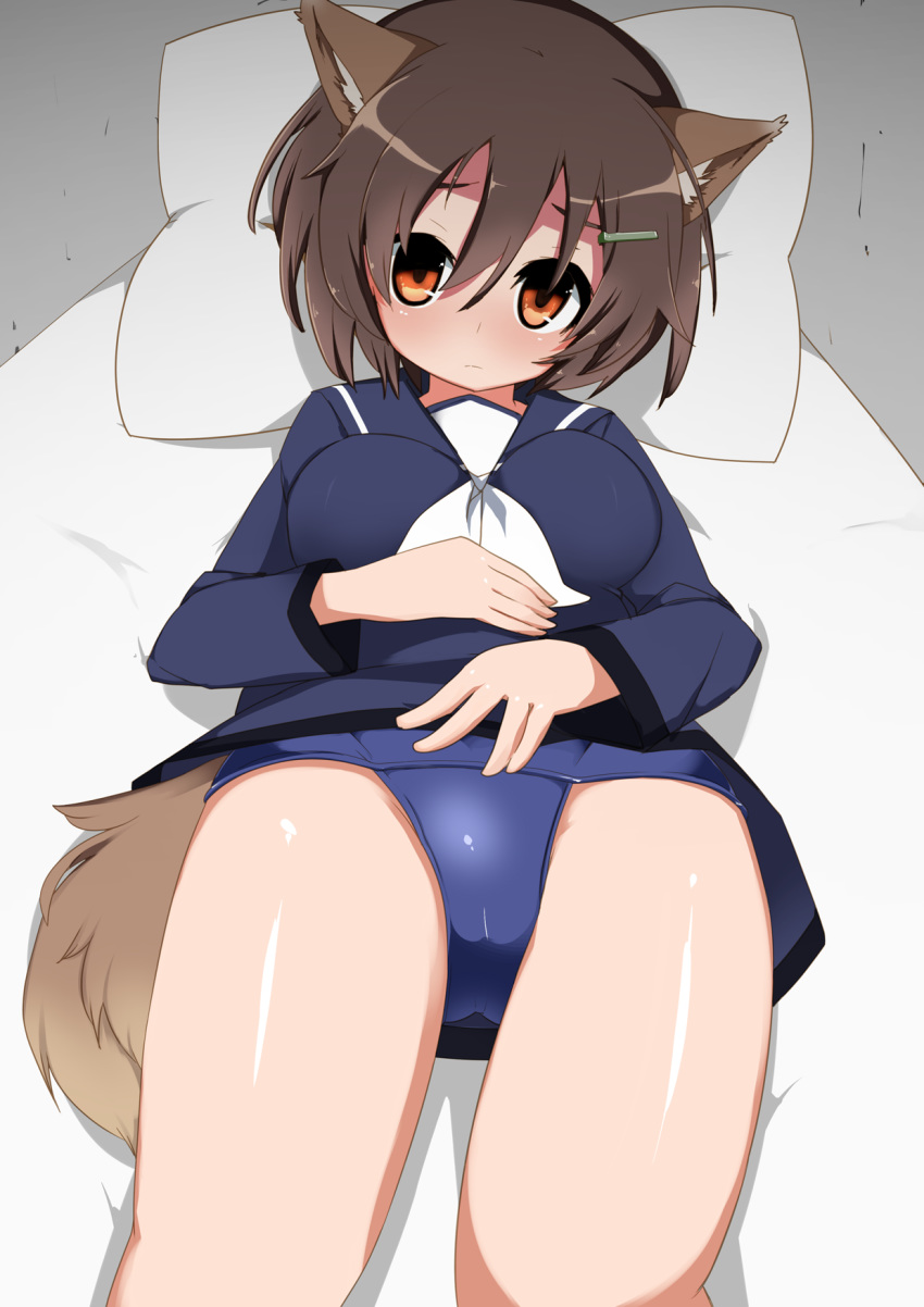 animal_humanoid bed brave_witches breasts brown_hair clothing female hair hairclip humanoid karibuchi_hikari looking_at_viewer lying on_back pillow school_swimsuit solo swimsuit yashiro_ryo