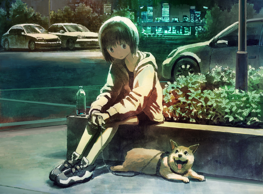 animal bangs black_eyes black_hair bottle building car commentary_request dog dog_walking ground_vehicle hands_together harness hood hood_down hooded_jacket jacket leash long_sleeves looking_at_animal motor_vehicle night original outdoors parking_lot plant planter resting shoes short_hair shorts sitting sitting_on_wall skyscraper smile sneakers solo sploot texture tokunaga_akimasa velcro water_bottle