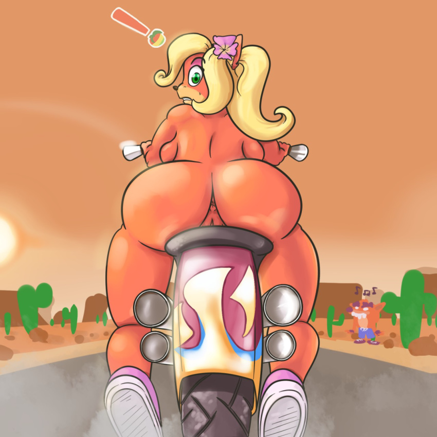 ! anthro anus big_butt breasts butt cactus clothed clothing coco_bandicoot crash_bandicoot_(series) driving fake_crash female female_focus flower flower_in_hair footwear hair jamesbarock male mammal mostly_nude motorcycle musical_note nude outside plant pussy shoes side_boob solo_focus sun surprise topless vehicle video_games wumpa_fruit