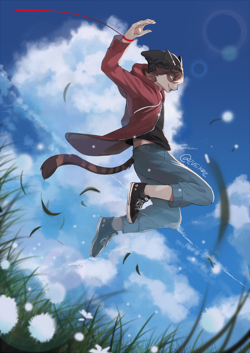 2017 action_pose ambiguous_gender anthro beanie brown_fur brown_hair cat cheek_tuft claws clothed clothing cloud countershading dandelion day detailed_background digital_media_(artwork) ears_back falling feline flower full-length_portrait fully_clothed fur furgonomics grass hair hat jacket lens_flare looking_away mammal nature open_mouth open_smile orange_eyes outside pants pawpads pink_pawpads plant portrait pose ribbons shirt side_view signature sky smile solo striped_fur striped_tail stripes tan_fur teeth tuft whiskers zuekrz