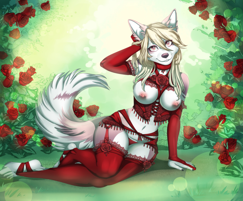 2018 anthro armwear blonde_hair breasts canine clothing dog elbow_gloves female flower fur garden gloves hair lace legwear lingerie long_hair looking_at_viewer mammal navel nipples ophelia_(oaf) plant rose solo stockings thigh_highs toxicnightcandy