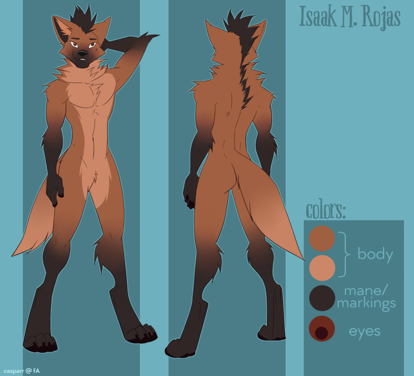 4_toes 5_fingers butt canine casparr claws digitigrade english_text featureless_crotch front_view humanoid_hands isaak_rojas male mammal maned_wolf model_sheet rear_view signature text toe_claws toes