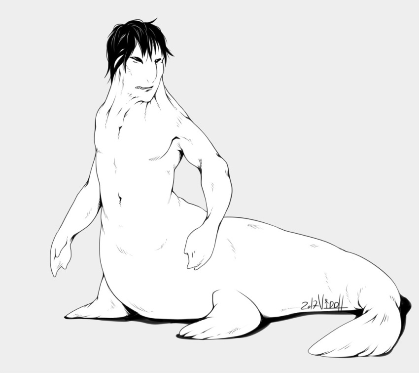 hi_res line_art male mammal marine nude pinniped seal viddharta-joshua what_has_science_done where_is_your_god_now