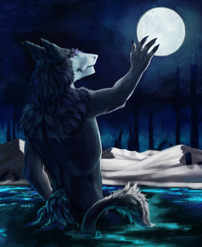 2018 4_fingers absurd_res anthro biped blue_background blue_eyes butt_fluff claws cloudymayday detailed detailed_background digital_media_(artwork) digital_painting_(artwork) fur grey_fur half-length_portrait hi_res kel lake landscape looking_away looking_up low-angle_view male mammal mane moon nature night nude outside paws pondering portrait raised_arm reaching sergal shaded shoulder_tuft simple_background smile snout solo speedpaint standing tail_tuft tan_fur tree tuft vilous_universe water watermark