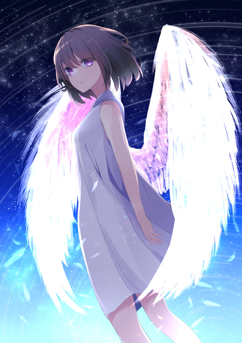 aa_(sin2324) absurdres bangs bare_arms bare_shoulders brown_hair closed_mouth commentary_request dress eyebrows_visible_through_hair feathered_wings feathers hair_between_eyes highres looking_at_viewer looking_to_the_side night night_sky original outdoors pleated_dress purple_eyes sky sleeveless sleeveless_dress solo standing star_(sky) star_trail starry_sky transparent_wings white_dress white_feathers white_wings wings