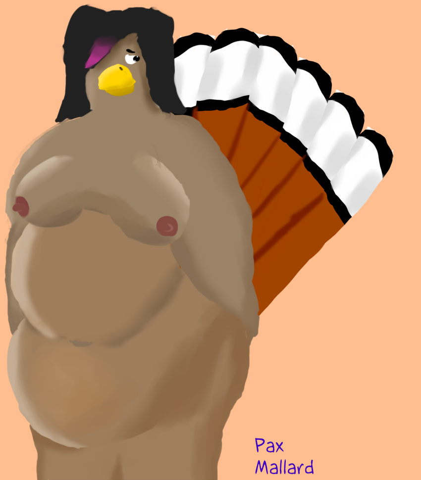 avian bird female overweight turkey