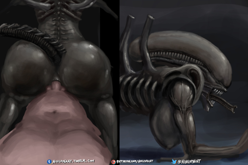 2018 3d_(artwork) abs alien alien_(franchise) alien_girl all_fours alternate_version_at_source anal balls big_breasts big_butt black_skin black_tail breasts butt claws dangerous digital_media_(artwork) doggystyle duo enjoying eyeless fangs female from_behind_position human human_on_humanoid humanoid inner_mouth lips lying male mammal monster muscular navel nihilophant nipples not_furry nude open_mouth penetration penis presenting raised_tail seductive sex sharp_teeth shiny smile teeth text thick_thighs wide_hips xenomorph