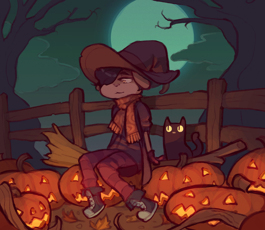broom cat feline food fruit halloween hat holidays magic_user mammal pumpkin skidoo witch witch_hat