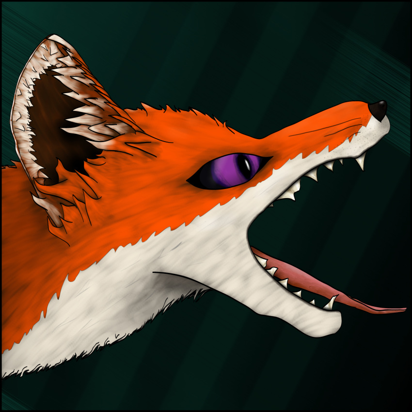 ambiguous_gender anatomy_error canine feral fox fur mammal open_mouth purple_eyes sharp_teeth simple_background solo teeth tongue