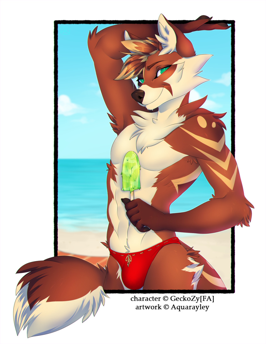 2017 5_figners anthro brown_hair brown_nose canine clothing detailed_background digital_media_(artwork) fox green_eyes hair holding_object inner_ear_fluff looking_at_viewer male mammal rayley red_fox smile solo speedo swimsuit