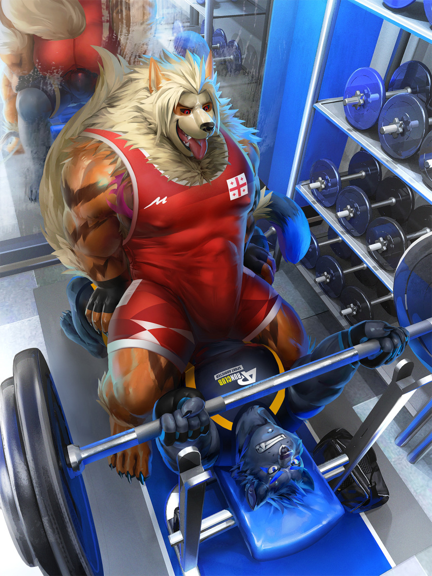 2018 anthro anthrofied arcanine bag barazoku barbell bench_press biceps big_biceps big_pecs blue_fur brown_fur bulge butt chest_fur clenched_teeth clothed clothing cowgirl_position detailed_background digital_media_(artwork) dumbbell duo ear_piercing exercise eyebrow_piercing facial_piercing feline fingerless_gloves fur gloves grinding gym inside laarx lying male male/male mammal mane mirror muscular muscular_male nintendo nipple_bulge nose_piercing on_back on_top open_mouth orange_fur panther pecs penis_outline piercing pok&eacute;mon pok&eacute;mon_(species) red_eyes reflection sex striped_fur stripes takahirosi tan_fur teeth tongue tongue_out video_games weightlifting weights workout