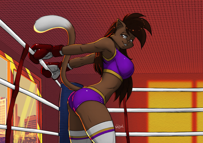 2018 anthro boxing boxing_gloves bra breasts brown_eyes brown_fur brown_hair brown_tail butt cat city clothing deborah_bispo dipstick_tail eyebrows eyelashes feline female fighting_ring fur hair inner_ear_fluff inside leggings legwear long_hair looking_at_viewer mammal midriff multicolored_tail side_boob signature smile solo sport sports_bra stockings two_tone_tail underwear wendel_fragoso white_tail window