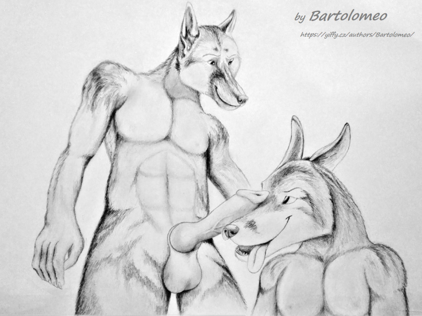 2018 anthro balls bartolomeo bartolomeo_(artist) canine dog duo erection fox fur knot male male/male mammal penis sketch smile teeth tongue tongue_out
