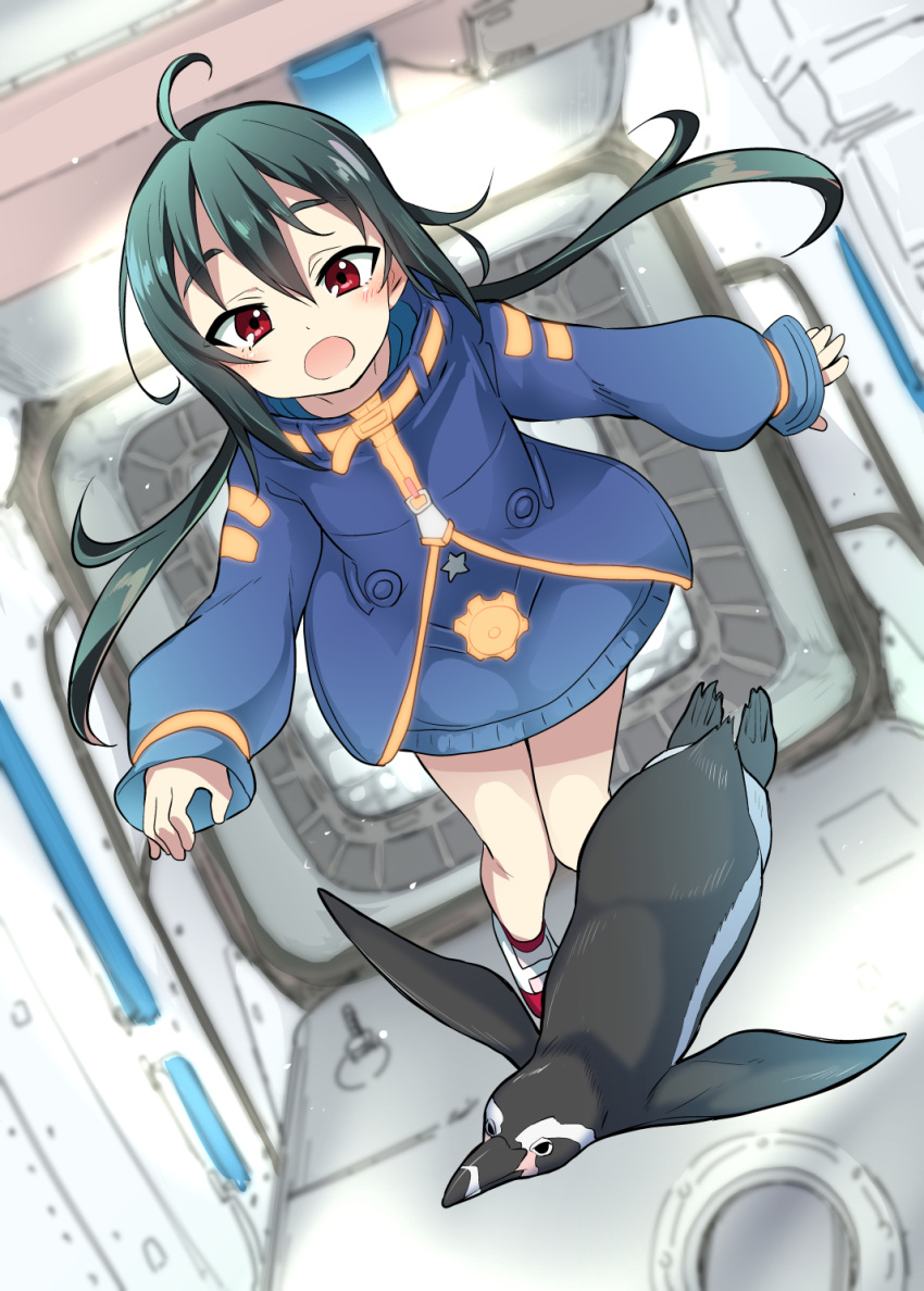 ahoge bird black_hair blurry blurry_background commentary_request highres international_space_station jacket long_hair long_sleeves miyao_ryuu open_mouth original penguin red_eyes skirt solo zero_gravity
