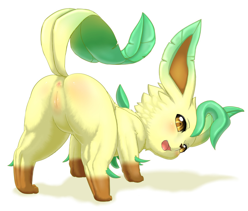 anus butt eeveelution female feral fuddy leafeon looking_at_viewer nintendo pok&eacute;mon pok&eacute;mon_(species) presenting presenting_hindquarters pussy rear_view video_games