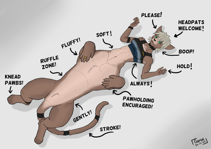 chart clothing collar cougar english_text felid feline fur gamal green_eyes herm hi_res how-to intersex jewelry keemir_(gamal) mammal petting solo sprawled tan_body tan_fur taur text topwear