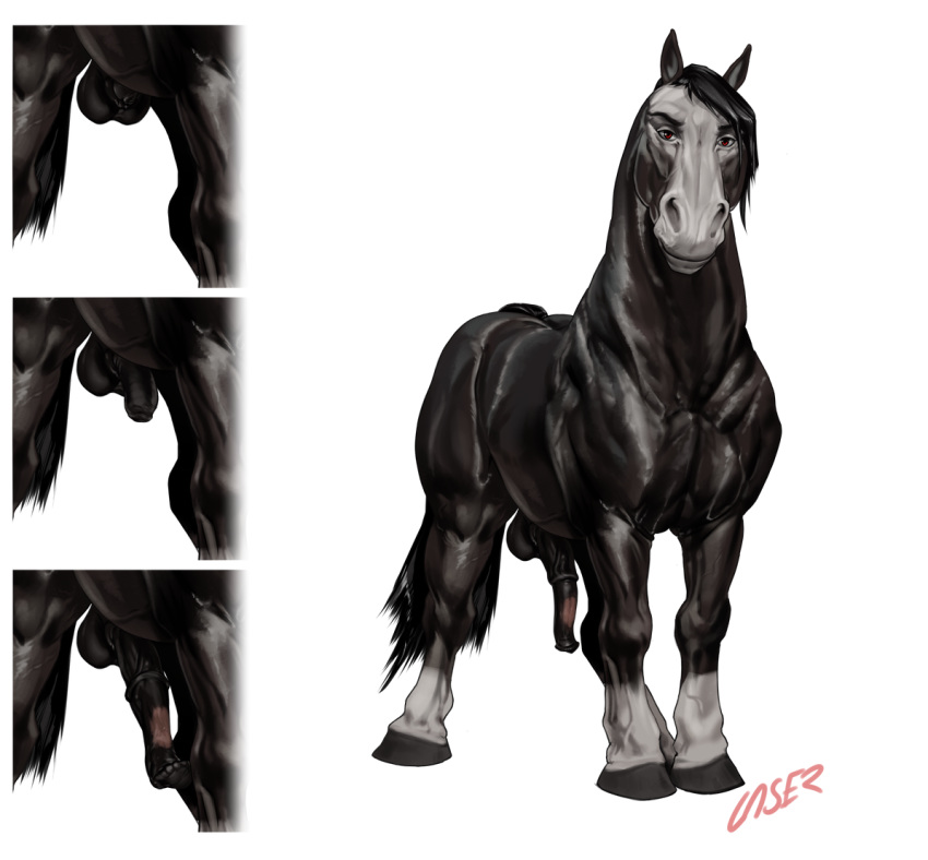 2018 alpha_channel anatomically_correct anatomically_correct_penis animal_genitalia animal_penis balls becoming_erect black_balls black_eyebrows black_fur black_mane black_penis digital_media_(artwork) equine equine_penis erection eyebrows feral flared_penis fur grey_hooves hooves horse laser_(artist) looking_at_viewer male mammal mane medial_ring mottled_penis multicolored_fur multicolored_penis penis pink_penis quadruped red_eyes signature simple_background solo transparent_background two_tone_fur two_tone_penis white_fur