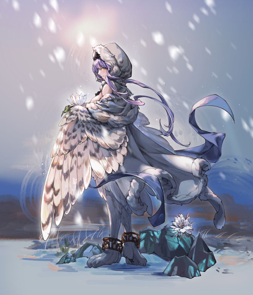 1girl absurdres anklet bird bird_legs bird_tail blush clover_theater commentary_request dao_junzi_(das_schwert) feathered_wings feathers flower fur-trimmed_hood fur_trim harpy highres hood hood_up jewelry long_hair looking_at_viewer monster_girl outdoors owl purple_hair sandway_(clover_theater) snow snowing solo tail talons white_feathers white_flower white_wings winged_arms wings yellow_eyes