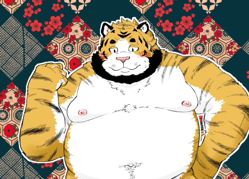 2023 anthro beard belly big_belly facial_hair felid fur hi_res kemono male mammal moobs nipples overweight overweight_male pantherine pink_nose shintatokoro solo tiger white_body white_fur