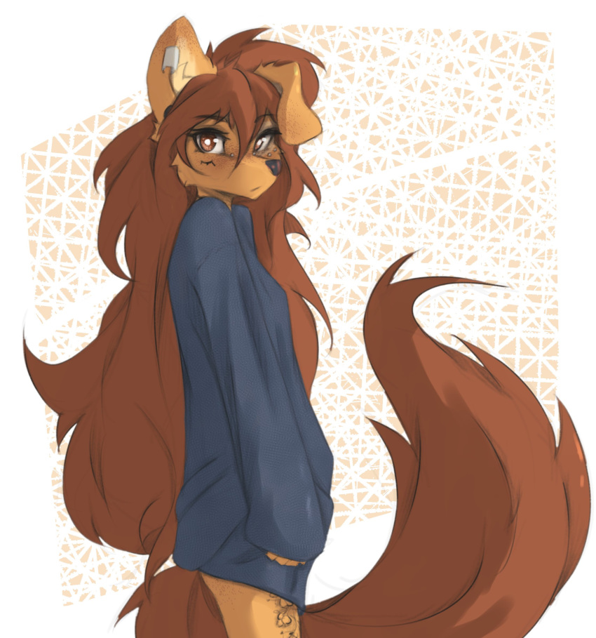 anthro apogee_(tinygaypirate) baggy_clothing bridge_piercing brown_eyes brown_hair canid canine canis cheek_piercing cheek_tuft clothed clothing domestic_dog ear_piercing ear_ring eye_markings eyebrow_through_hair eyebrows eyelashes facial_markings facial_piercing facial_tattoo facial_tuft female fluffy fluffy_tail fur hair head_markings hi_res inner_ear_fluff leg_tattoo long_tail looking_at_viewer mammal markings mottled mottled_nose neutral_expression nose_piercing one_ear_up patch_(marking) pattern_background piercing portrait ring_piercing side_view simple_background solo spitz stretched_ears sweater tail tan_inner_ear tan_inner_ear_fluff tan_markings tattoo three-quarter_portrait tinygaypirate topwear translucent translucent_hair tuft yellow_body yellow_fur