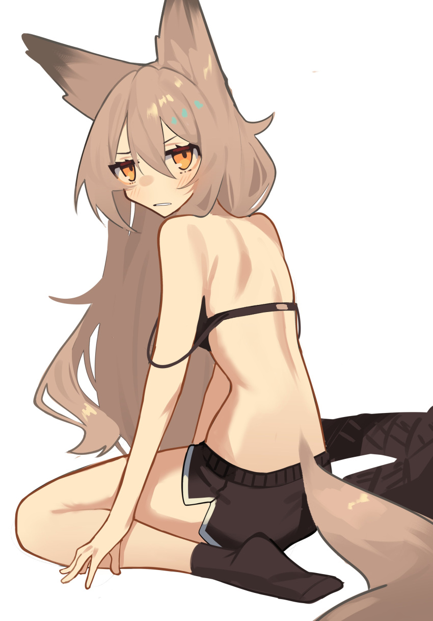 1girl absurdres animal_ears black_bra black_shorts black_socks bra brown_hair from_behind ghost_(tama) highres long_hair looking_at_viewer original shorts simple_background sitting socks solo tail underwear wariza white_background wolf_ears wolf_girl wolf_tail yellow_eyes