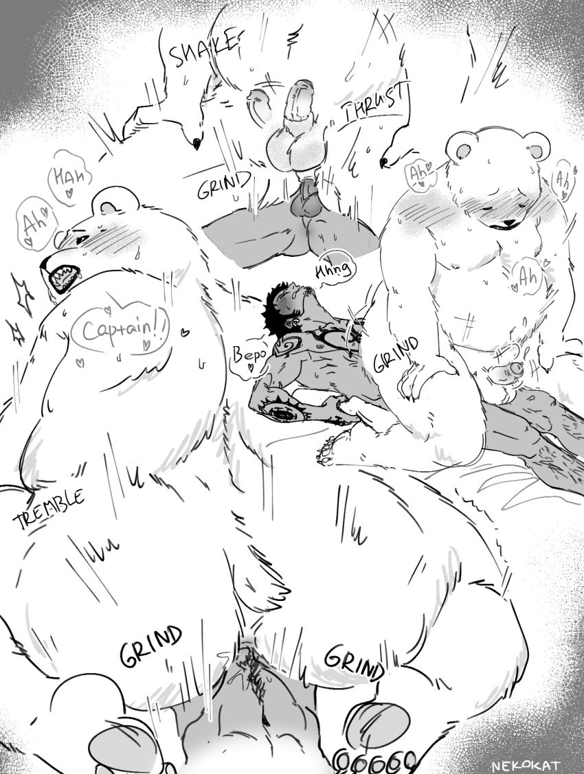 2024 anal anthro balls bear bepo_(one_piece) erection genitals hi_res human human_on_anthro interspecies male male/male mammal minkmen_(one_piece) moobs nekokat42 nipples one_piece penis polar_bear sex trafalgar_law ursine