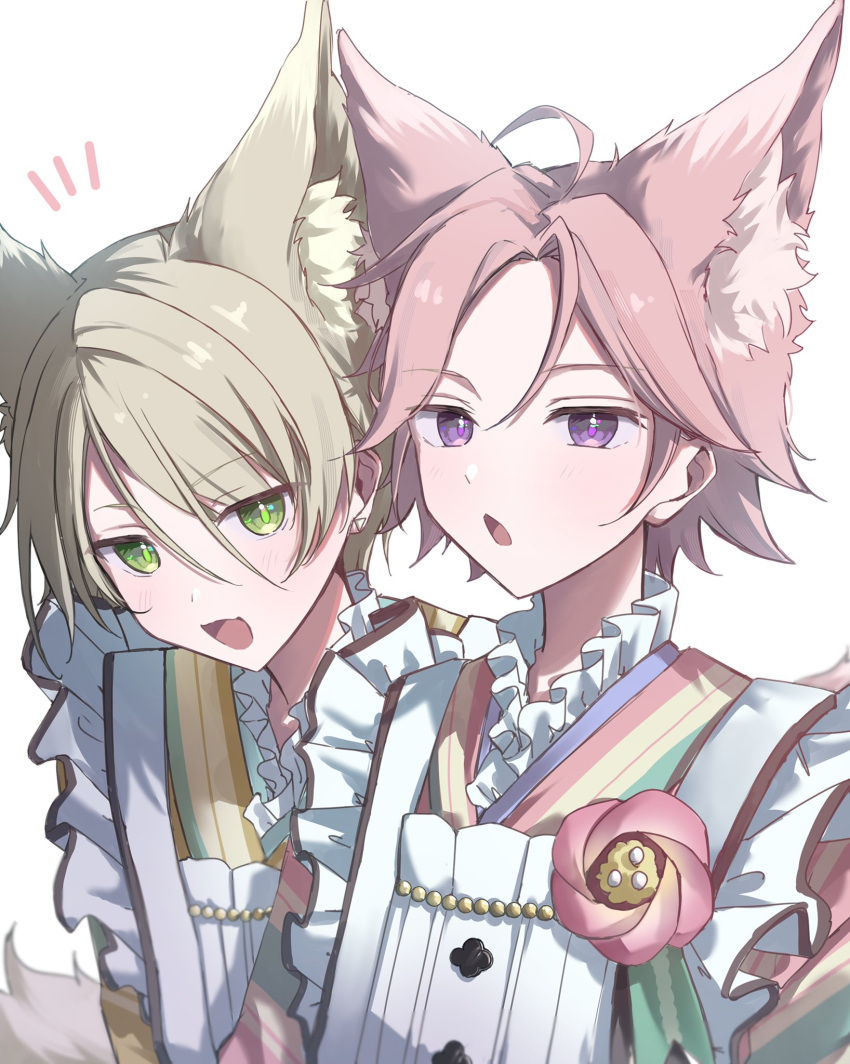 2boys alternate_costume animal_ears anzu1096811911 apron blonde_hair blush ensemble_stars! fox_boy fox_ears fox_tail green_eyes green_kimono grey_background highres japanese_clothes kimono koi_koi_cafe_(ensemble_stars!) long_sleeves looking_at_viewer male_focus multiple_boys open_mouth oukawa_kohaku pink_hair purple_eyes shiratori_aira_(ensemble_stars!) short_hair simple_background smile tail white_apron