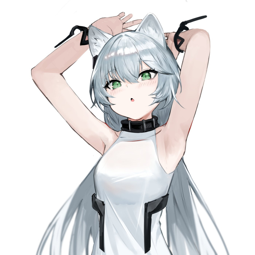 1girl :o animal_ears arknights armpits arms_up black_collar blush cat_ears cat_girl collar green_eyes grey_hair hair_between_eyes highres long_hair looking_at_viewer open_mouth rosmontis_(arknights) rosmontis_(become_anew)_(arknights) s_4ik4 shirt sidelocks simple_background sleeveless sleeveless_shirt solo straight_hair upper_body white_background