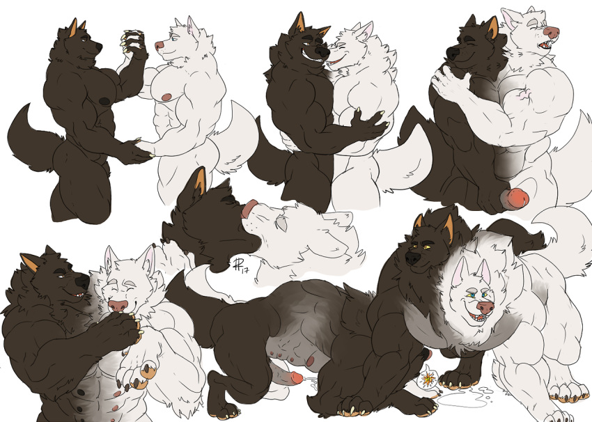 anthro anthro_to_feral build-a-wuff canine cerberus conjoined huge_muscles male male/male mammal merging multi_head multi_tail multifur muscular transformation transformation_sequence wolf