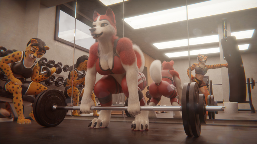 3d_(artwork) abs amber_eyes anthro athletic athletic_anthro athletic_female athletic_wear balto_(series) biceps big_breasts black_hair bottomwear bra breasts canid canine canis cheek_tuft cheetah chenira_(johnwulffe) chest_tuft cleavage clothed clothing countershading crouching deadlift digital_media_(artwork) domestic_dog dreamworks facial_markings facial_tuft felid feline felis female fur group gym gym_bottomwear gym_shorts hair head_markings hi_res husky inside jenna_(balto) johnwulffe kung_fu_panda mammal markings master_tigress medium_breasts mirror mirror_reflection muscular muscular_anthro muscular_female neck_tuft nordic_sled_dog open_mouth pantherine punch punching_bag red_body red_eyes red_fur reflection shorts sitting spitz sport sports_bra spots spotted_body spotted_fur standing striped_body striped_fur stripes teeth tiger trio tuft underwear universal_studios yellow_body yellow_eyes yellow_fur yellow_sclera