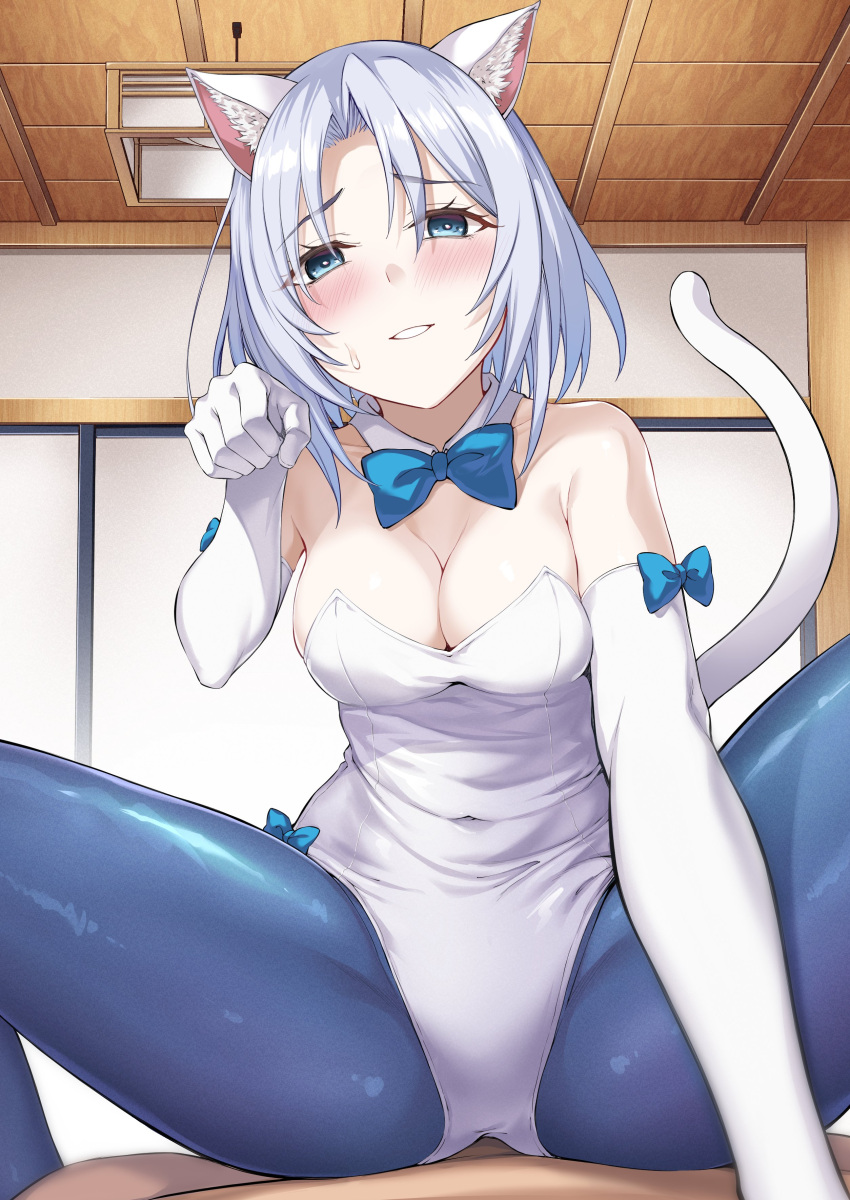 1girl absurdres animal_ears blue_eyes blue_pantyhose blue_ribbon blush breasts cat_ears cat_tail cleavage elbow_gloves fake_animal_ears fake_tail gloves hair_between_eyes highres ijima_yuu large_breasts leotard looking_at_viewer open_mouth pantyhose playboy_bunny ribbon ryuuou_no_oshigoto! short_hair sitting sitting_on_person sora_ginko tail teeth white_background white_gloves white_hair