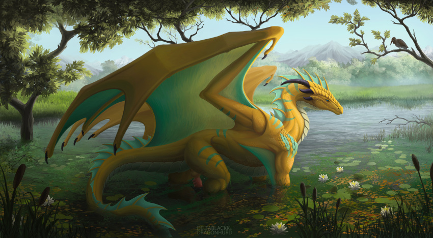 absurd_res avian bird character_danni deltablackk digital_media_(artwork) dragon dragonhurd erection european_mythology feral fog genitals hi_res horn light lilies male membrane_(anatomy) membranous_wings mountain mythological_creature mythological_scalie mythology penis plant scales scalie smile solo tail tree water western_dragon wings yellow_body