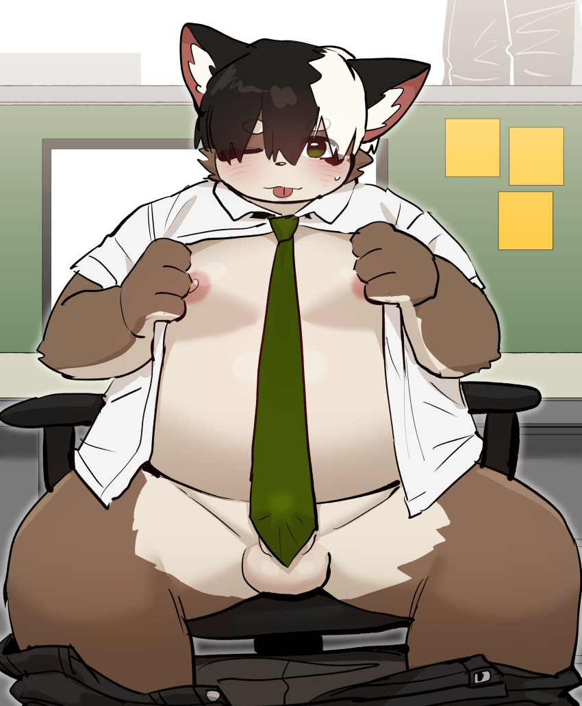 2024 absurd_res anthro balls blush brown_body canid canine clothed clothing detailed_background genitals hi_res kemono male mammal necktie open_clothing open_shirt open_topwear overweight overweight_male penis procyonid raccoon raccoon_dog shirt sitting solo ssu_open tanuki tongue tongue_out topwear