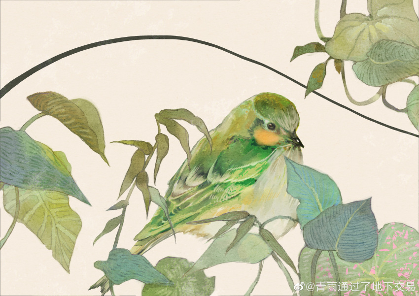 absurdres animal_focus black_eyes chinese_commentary commentary_request green_bird highres leaf looking_at_viewer no_humans original plant qingyu_tongguo_le_dixia_jiao_yi solo vines watermark weibo_logo weibo_username