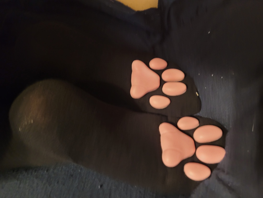 4:3 absurd_res april_natari big_feet black_clothing black_footwear black_legwear black_socks clothed clothing digital_media_(artwork) domestic_cat feet felid feline felis female foot_fetish foot_focus foot_play footwear hi_res huge_feet human legwear male mammal musk paw_socks pawpads paws real real_world simple_background smelly smelly_feet smelly_paws socks soles solo solo_focus thigh_highs toes