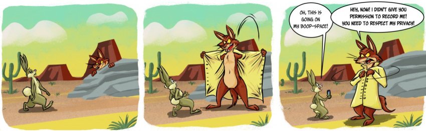 3_toes 4_fingers abstract_background annoyed anthro barefoot belly black_eyes black_nose bottomless bottomless_anthro bottomless_male boulder brown_body brown_fur buckteeth cactus canid canine canis cellphone clothed clothing coat comic cotton_tail countershade_torso countershading coyote coyoteville desert dialogue digital_media_(artwork) duo electronics evil_grin feet fingers fur half-closed_eyes humor jump_scare jumping lagomorph leporid lines_drawn long_ears male mammal narrowed_eyes navel nude paws pecs phone phone_screen pink_nose plant plantigrade rabbit raincoat raincoat_only recording recording_video rock scared sean_o'desse shaded sharp_teeth shocked smartphone smile smirk sneaking speech_bubble standing stevethedragon surprise tan_belly tan_body tan_fur teeth teeth_showing toes topwear trenchcoat walking white_sclera yellow_body yellow_fur yellow_sclera