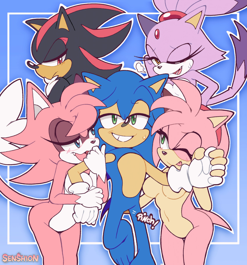 absurd_res amy_rose anthro black_body blaze_the_cat blue_body blue_eyes body_hair breasts chest_hair domestic_cat eulipotyphlan fan_character featureless_breasts featureless_crotch felid feline felis female green_eyes group hand_holding harem hedgehog hi_res male mammal nude orange_eyes pink_body purple_body red_eyes red_stripes sega sensh_the_cat senshion shadow_the_hedgehog smug_face sonic_the_hedgehog sonic_the_hedgehog_(series) stripes