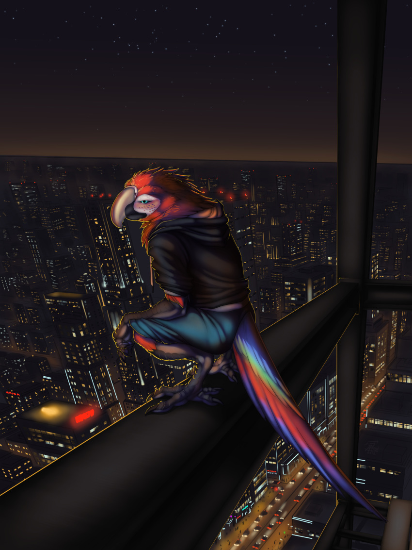 2018 5_fingers anthro avian barefoot beak bird blue_eyes city clothed clothing detailed_background digital_media_(artwork) jackrow macaw night outside parrot sky solo star starry_sky