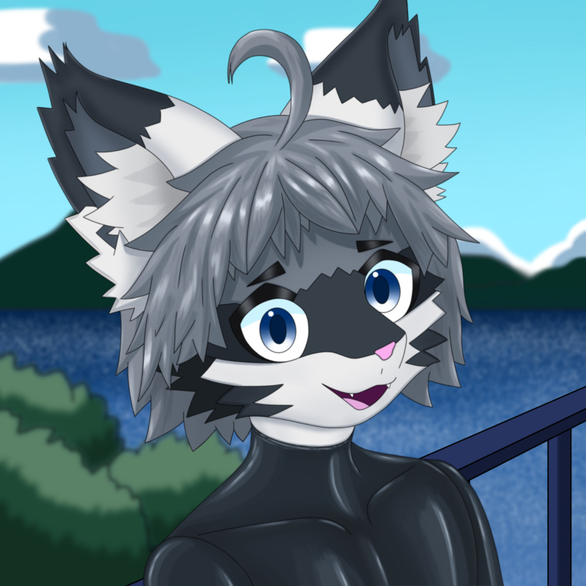 1:1 absurd_res anthro artist_astellannasx black_body black_fur black_latex bluesky bottomwear character_astellan clothing cloud domestic_cat felid feline felis fur grey_hair hair haraveon hi_res lake latex latex_bottomwear latex_clothing latex_skinsuit looking_at_viewer male mammal mountain plant skinsuit skintight_suit sky solo tight_clothing tree veranda wetsuit white_body white_fur